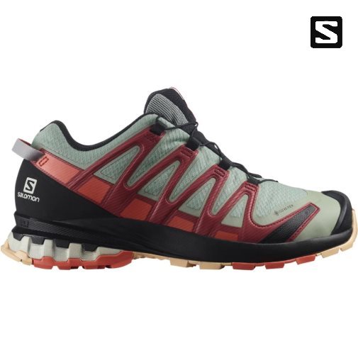 Salomon Xa Pro 3d V8 GTX Trailove Bezecke Tenisky Damske Olivovo Zelená Červené | SK 9VWTKB